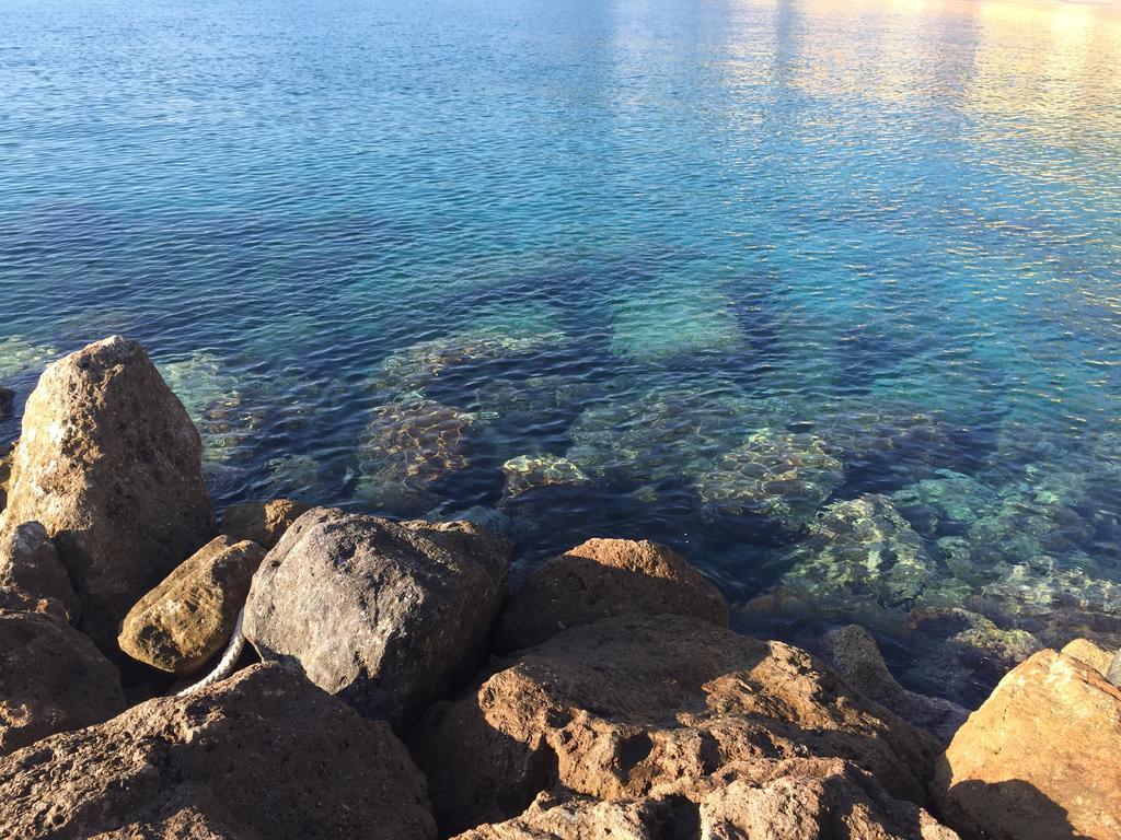 Les Agrumes Varigotti Εξωτερικό φωτογραφία